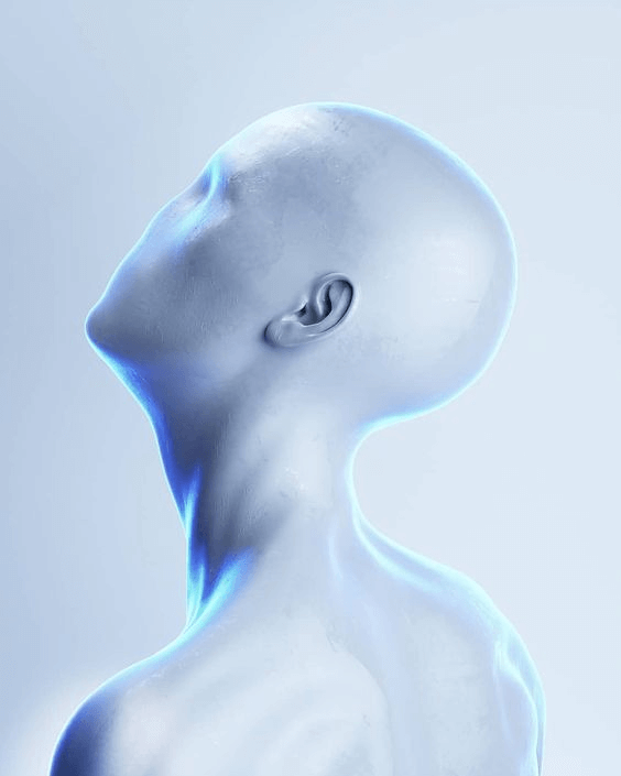 Digital Solutions